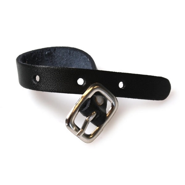 Bild på Black Leather Luggage Strap with Silver Buckle. 60270107 (DE,SE,NO,FI,RO,PL)